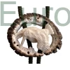 30042szalonka-Photoroom