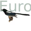 szarka