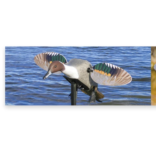 MOJO Elite Series Pintail