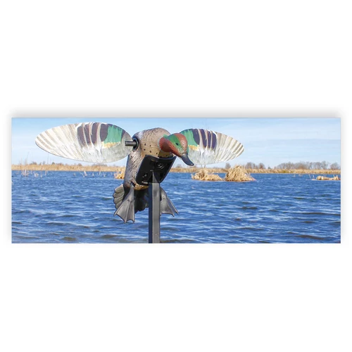 MOJO Elite Series Green Wing Teal