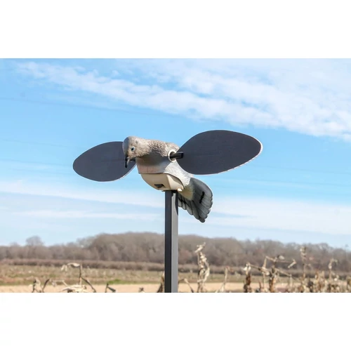 MOJO Elite Series Dove